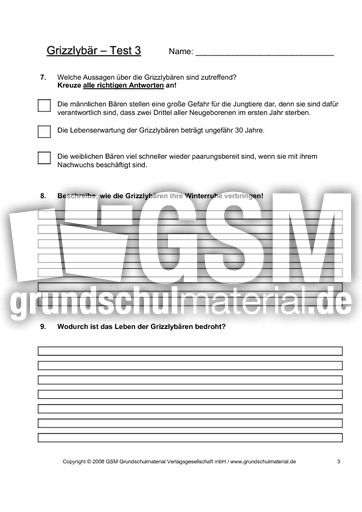 Grizzly-Test-Seite-3.pdf